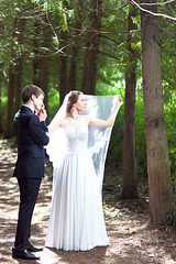 click for enlarge 1200 X 1800 376.0 Kb picture