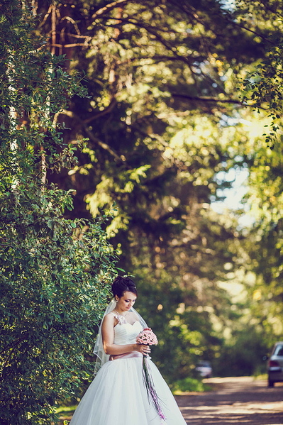 click for enlarge 787 X 1181 681.6 Kb picture