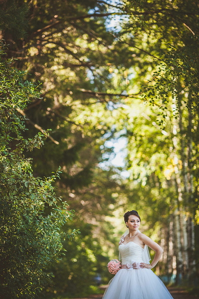 click for enlarge 787 X 1181 603.6 Kb picture