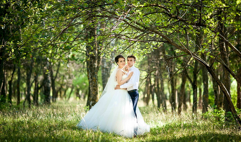 click for enlarge 1181 X 697 727.6 Kb picture