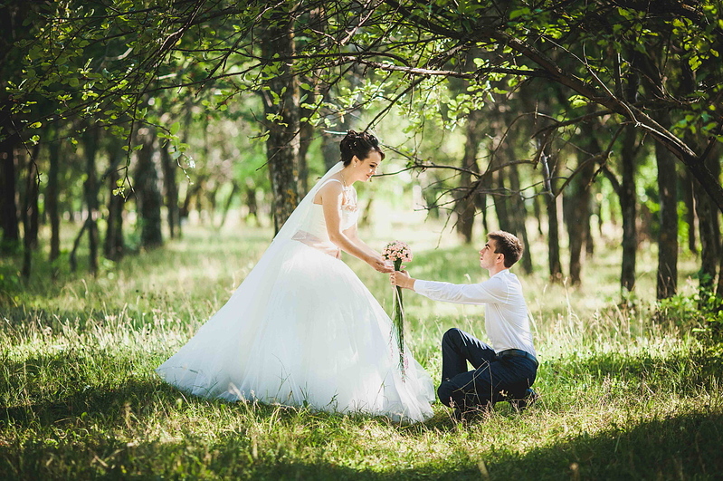 click for enlarge 1181 X 785 686.4 Kb picture