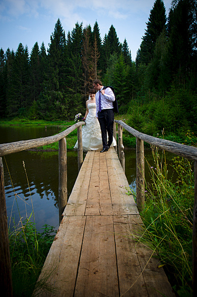 click for enlarge 795 X 1200 178.2 Kb picture