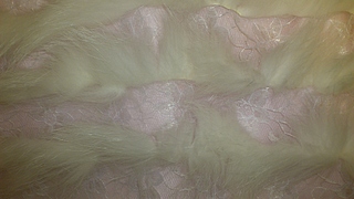click for enlarge 1920 X 1080 733.4 Kb picture