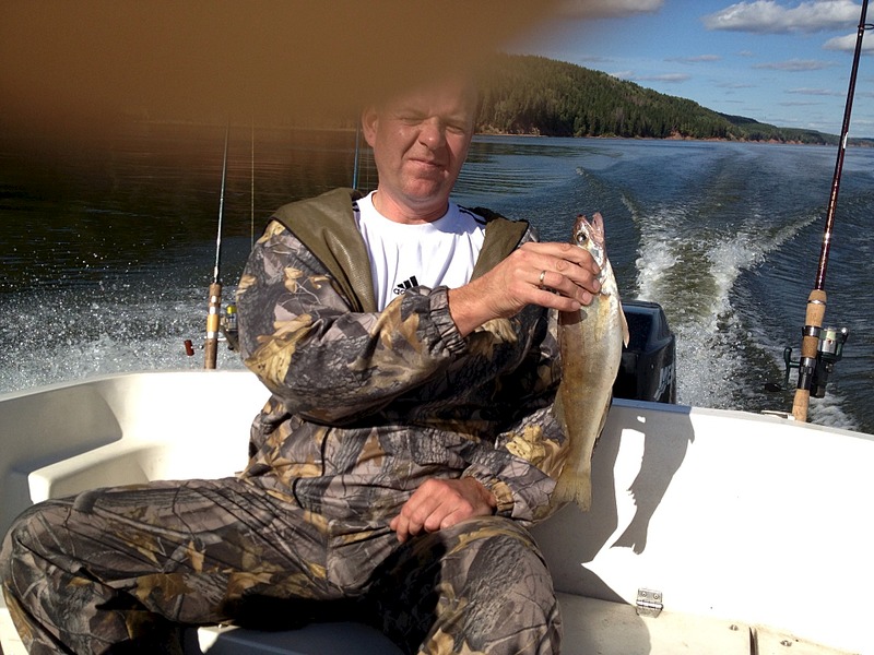 click for enlarge 1920 X 1440 566.1 Kb picture