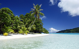 click for enlarge 800 X 500 183.8 Kb picture