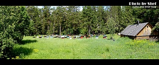 click for enlarge 807 X 330 145.4 Kb picture