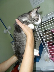 click for enlarge 1000 X 1333 384.2 Kb picture