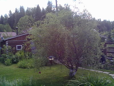 click for enlarge 1600 X 1200 296.1 Kb picture