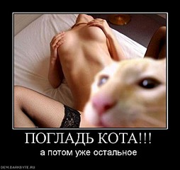 click for enlarge 604 X 570 49.2 Kb picture