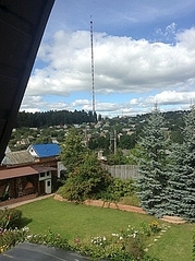 click for enlarge 298 X 398 100.0 Kb picture