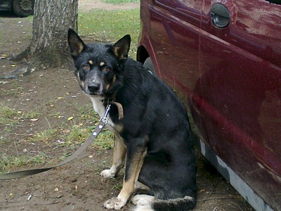 click for enlarge 1920 X 1440 574.4 Kb picture