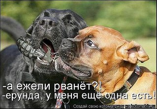 click for enlarge 600 X 418  72.2 Kb picture