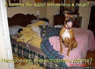 click for enlarge 604 X 437  65.7 Kb picture