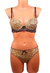 click for enlarge 531 X 768 65.1 Kb picture