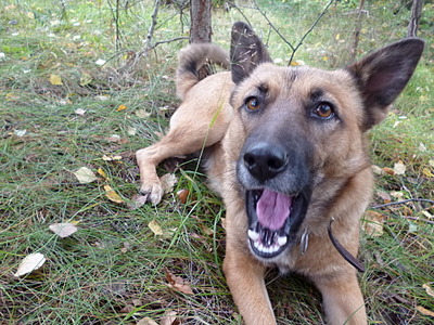 click for enlarge 1920 X 1440 952.0 Kb picture