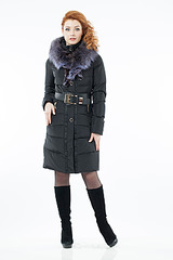 click for enlarge 506 X 758 117.4 Kb picture