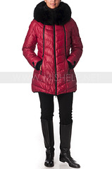 click for enlarge 598 X 900 170.2 Kb picture