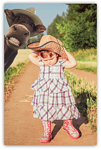 click for enlarge 505 X 747 369.6 Kb picture