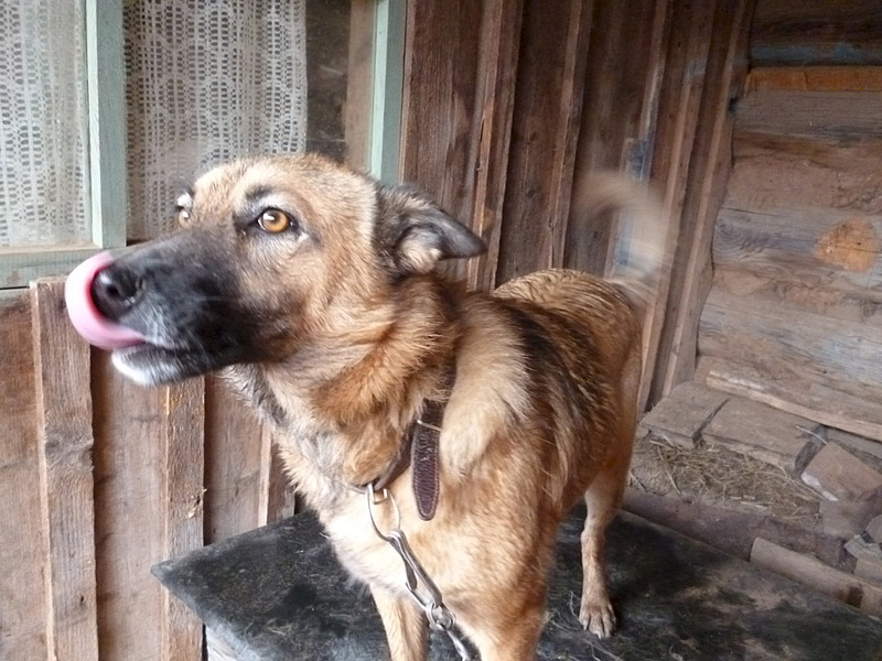 click for enlarge 1920 X 1440 571.7 Kb picture