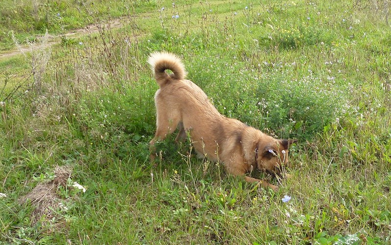 click for enlarge 1204 X 756 463.7 Kb picture