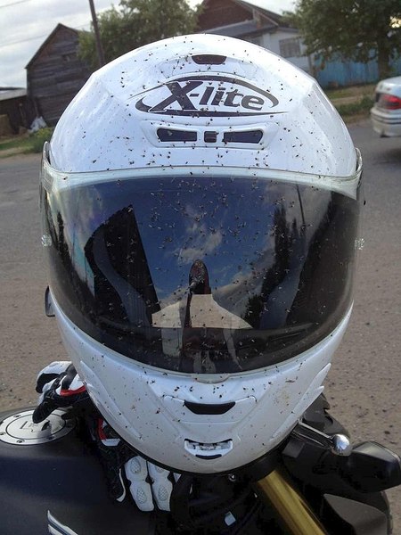 click for enlarge 768 X 1024 134.9 Kb picture