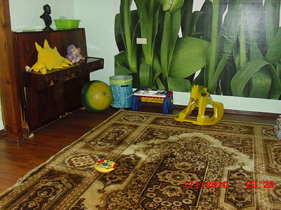 click for enlarge 640 X 480 422.3 Kb picture