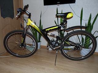 click for enlarge 800 X 600 175.5 Kb picture