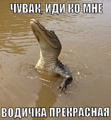 click for enlarge 539 X 581 57.3 Kb picture