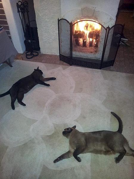click for enlarge 600 X 800 57.6 Kb picture