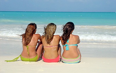click for enlarge 800 X 500  68.1 Kb picture
