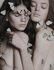 click for enlarge 537 X 702 214.2 Kb picture