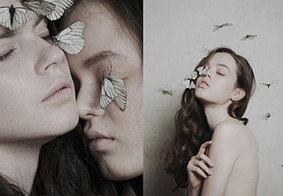 click for enlarge 800 X 553 208.6 Kb picture