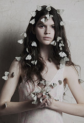 click for enlarge 537 X 785 305.7 Kb picture