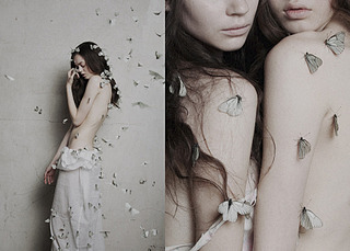 click for enlarge 877 X 628 364.7 Kb picture