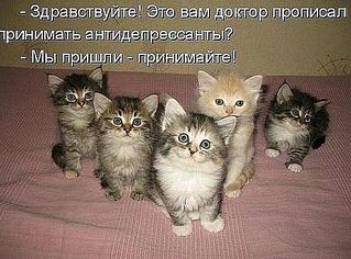 click for enlarge 492 X 364 47.2 Kb picture