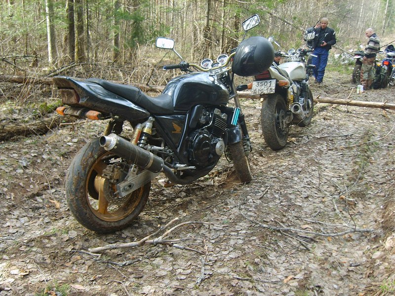 click for enlarge 1280 X 960 389.9 Kb picture