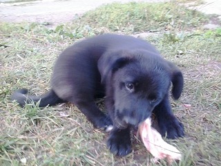 click for enlarge 1920 X 1440 588.2 Kb picture