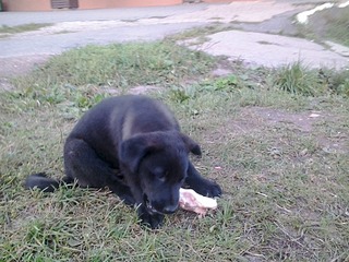 click for enlarge 1920 X 1440 656.8 Kb picture