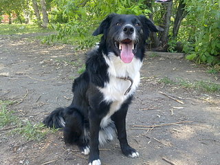 click for enlarge 1920 X 1440 713.9 Kb picture