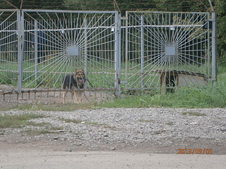 click for enlarge 1920 X 1440 759.4 Kb picture