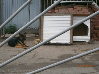 click for enlarge 1920 X 1440 515.9 Kb picture