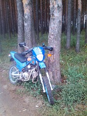 click for enlarge 1920 X 2560 521.8 Kb picture