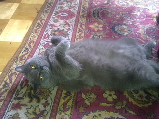 click for enlarge 1920 X 1440 379.5 Kb picture