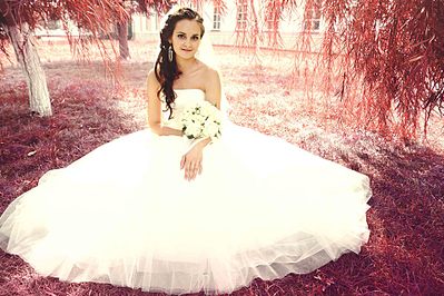 click for enlarge 1920 X 1279 526.0 Kb picture