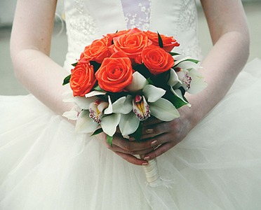 click for enlarge 1920 X 1548 573.3 Kb picture