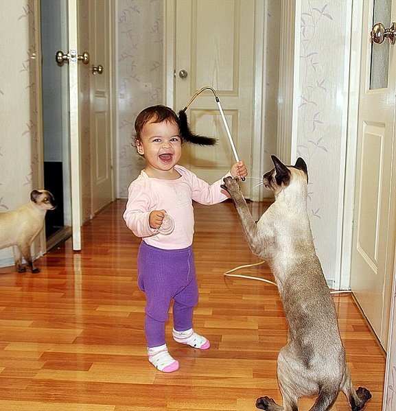 click for enlarge 832 X 864 141.9 Kb picture