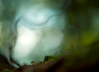 click for enlarge 997 X 731 110.2 Kb picture