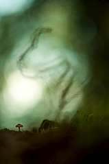 click for enlarge 664 X 1000 76.8 Kb picture