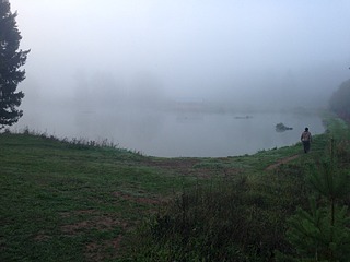 click for enlarge 1920 X 1440 484.9 Kb picture