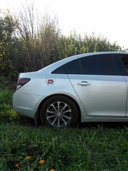 click for enlarge 1920 X 2560 1018.4 Kb picture